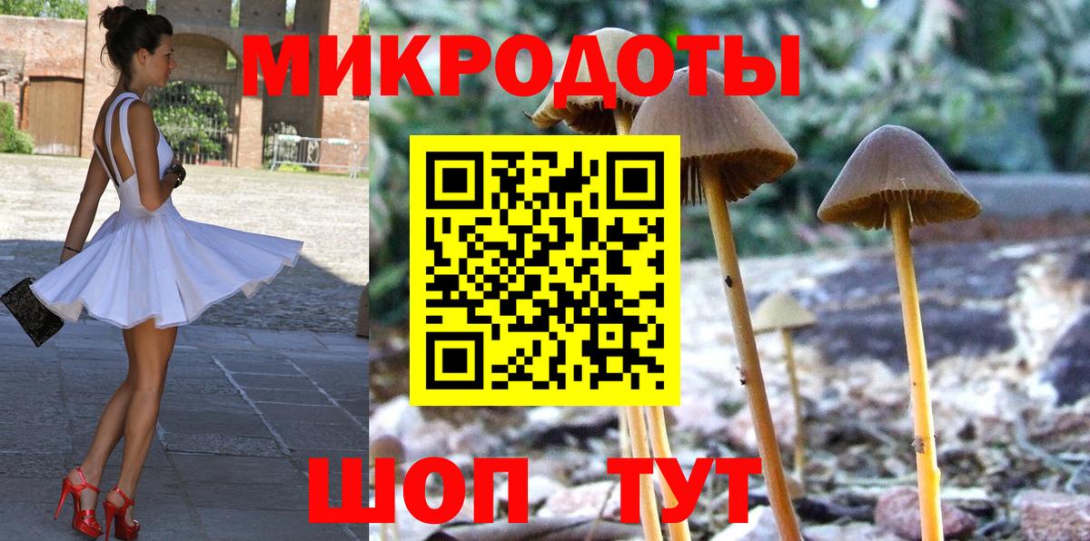 Псилоцибиновые грибы Magic Shrooms Вичуга